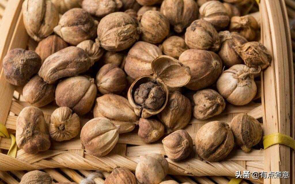 12種常見香料怎么用？一次性告訴你！還有鹵料配方，鹵啥都香
