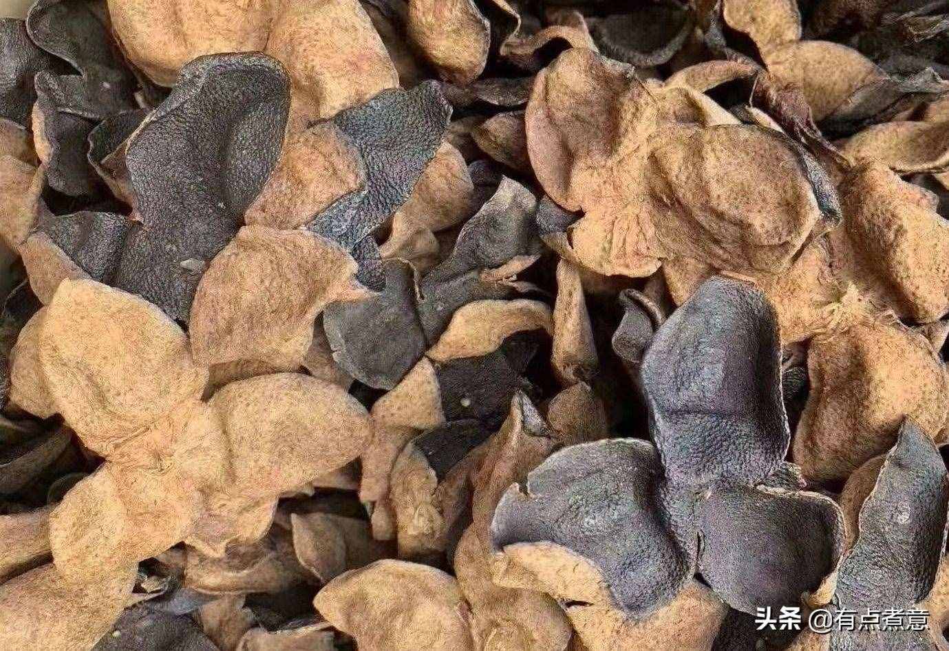 12種常見香料怎么用？一次性告訴你！還有鹵料配方，鹵啥都香