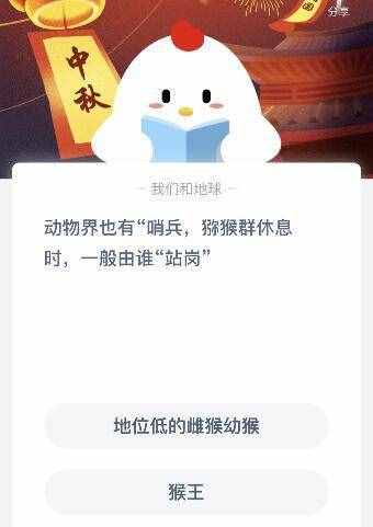 獼猴群休息時(shí)一般由誰站崗？螞蟻莊園課堂9月30日答案