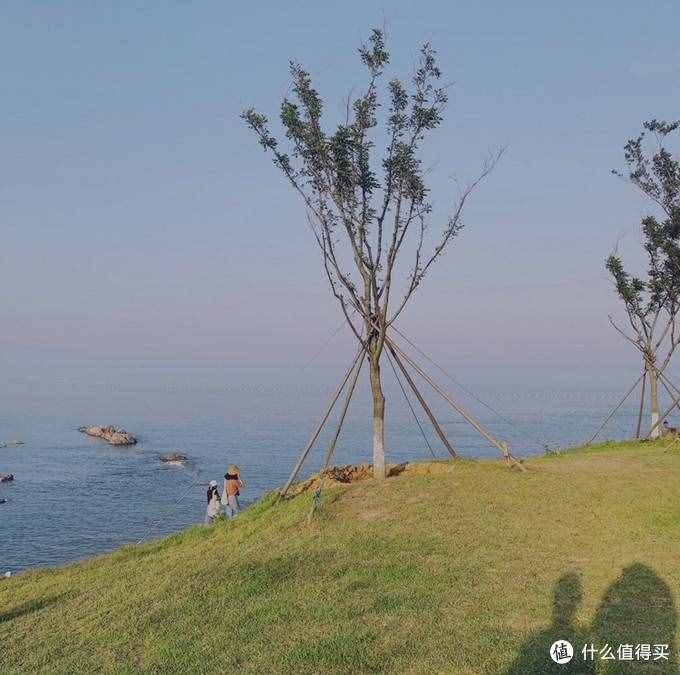 純干貨 