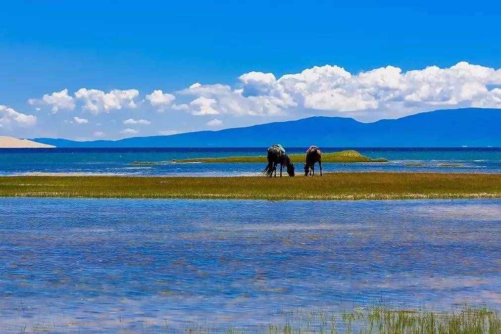 自駕青海湖環(huán)湖公路詳細攻略，大美青海，最美青海湖此生必駕！