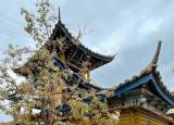 今日更新德慶住宿（重慶小兩口環(huán)游中國）