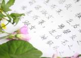 今日更新思念情人的詩句（七首絕美愛情詩）
