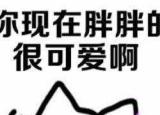 今日更新順口溜笑話大全（順口溜笑話）