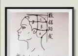 今日更新發(fā)型分區(qū)（剪發(fā)國際標(biāo)準(zhǔn)五分區(qū)）