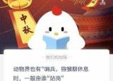 今日更新猴群休息時(shí)誰(shuí)站崗（獼猴群休息時(shí)一般由誰(shuí)站崗）