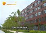 今日更新濰坊四中地址（高新金馬公學(xué)）