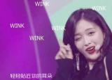 今日更新wink是什么意思（wink是什么）