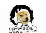 今日更新撒狗糧是什么意思（撒狗糧）