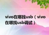 vivo在哪找usb（vivo在哪找usb調(diào)試）