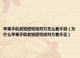蘋(píng)果手機(jī)發(fā)短信特效對(duì)方怎么看不到（為什么蘋(píng)果手機(jī)發(fā)短信特效對(duì)方看不見(jiàn)）