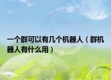 一個群可以有幾個機器人（群機器人有什么用）