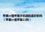 蘋果xr是蘋果手機(jī)續(xù)航最好的嗎（蘋果xr是蘋果11嗎）