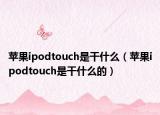 蘋果ipodtouch是干什么（蘋果ipodtouch是干什么的）