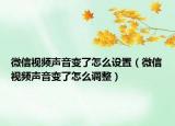 微信視頻聲音變了怎么設置（微信視頻聲音變了怎么調(diào)整）