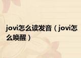jovi怎么讀發(fā)音（jovi怎么喚醒）