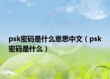 psk密碼是什么意思中文（psk密碼是什么）