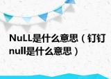 NuLL是什么意思（釘釘null是什么意思）