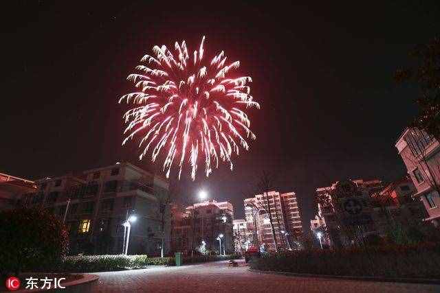 各地除夕夜燃放絢爛煙花 火樹銀花喜迎生肖雞年到來
