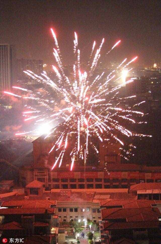 各地除夕夜燃放絢爛煙花 火樹銀花喜迎生肖雞年到來