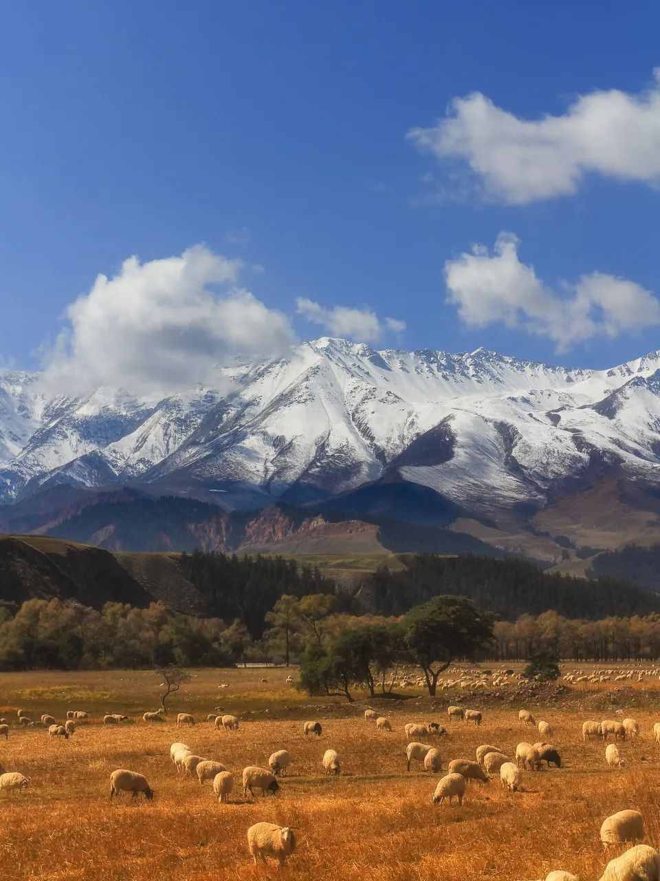 9月國(guó)內(nèi)最值得去的九個(gè)旅行地，每一個(gè)都藏著絕美的風(fēng)景