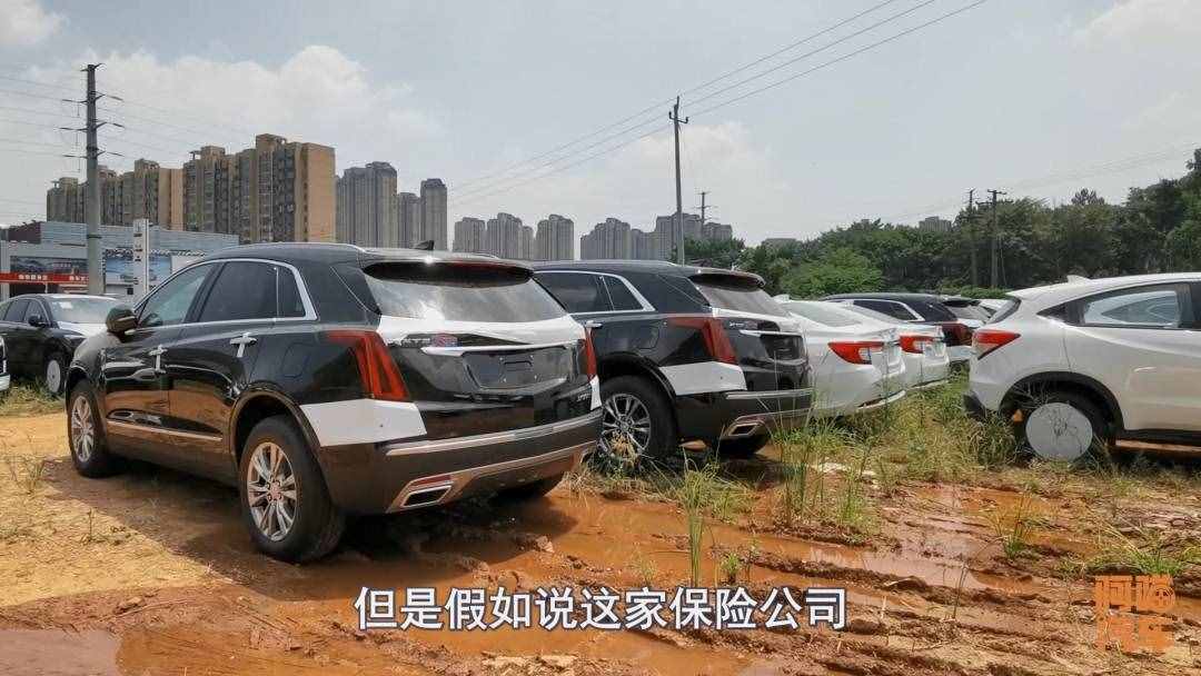 汽車保險(xiǎn)該怎么買(mǎi)？這幾款喵哥強(qiáng)烈推薦，買(mǎi)了讓你省心省事