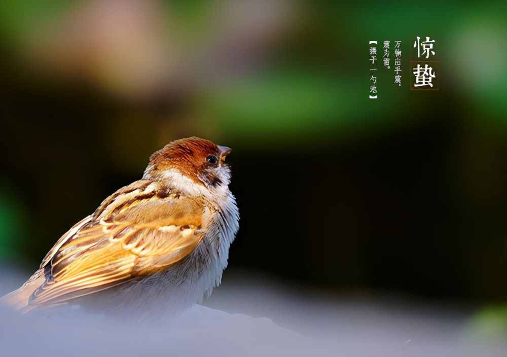 驚蟄過后，這6種堿性水果記得吃，順應(yīng)時(shí)節(jié)，營養(yǎng)味美防春困