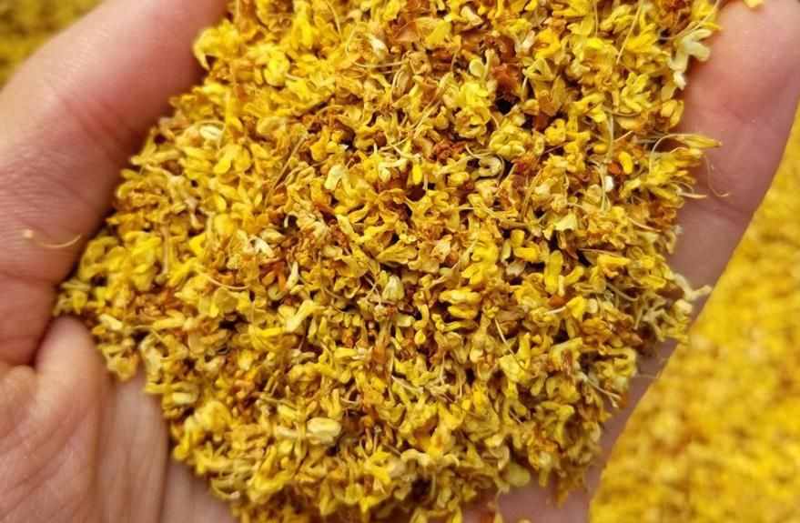金秋十月桂花香，滿地桂花別浪費(fèi)，教你烘干保存，留住花香