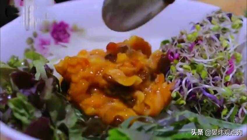 自己吃掉自己的腦子，海鞘是有多想不通