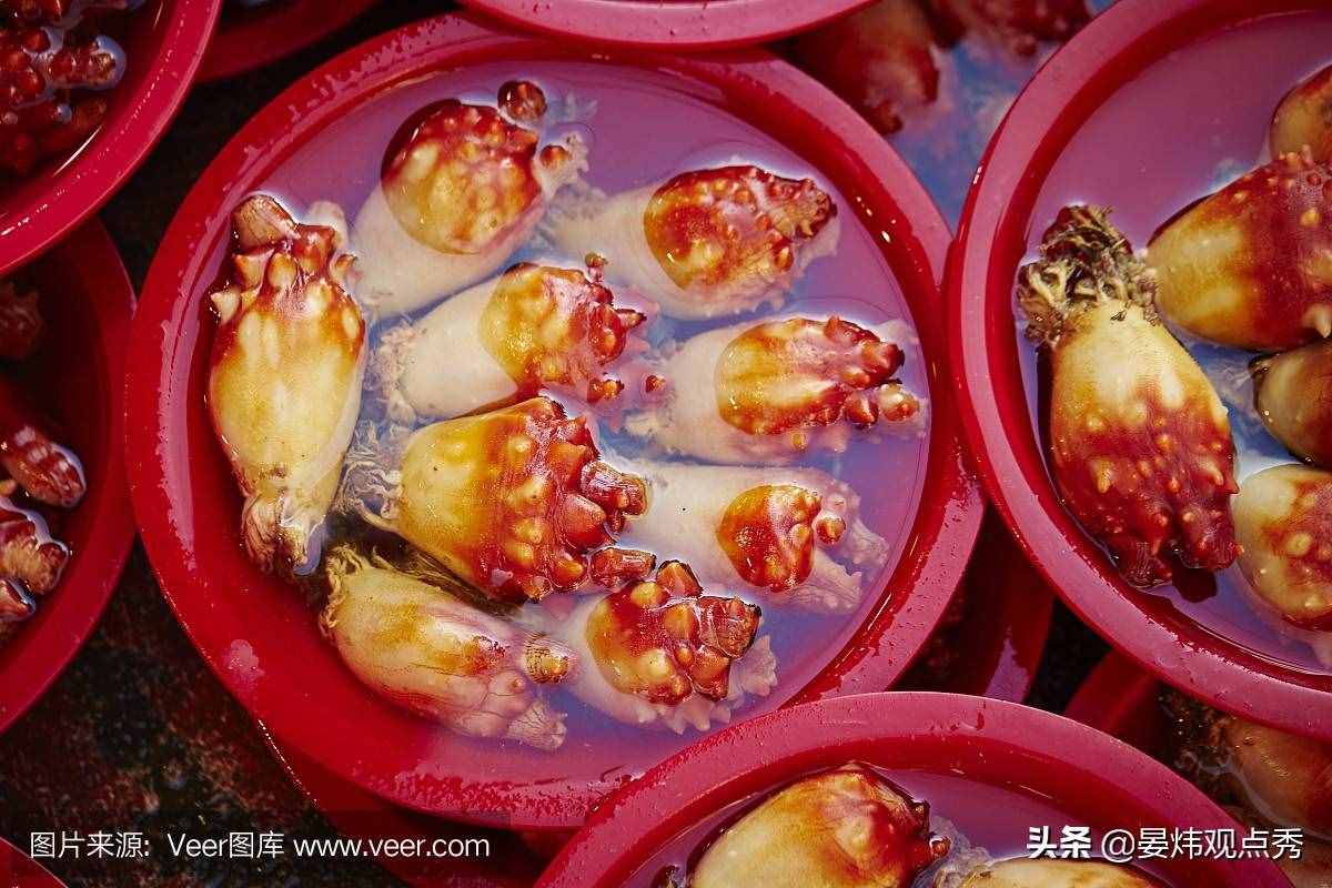 自己吃掉自己的腦子，海鞘是有多想不通