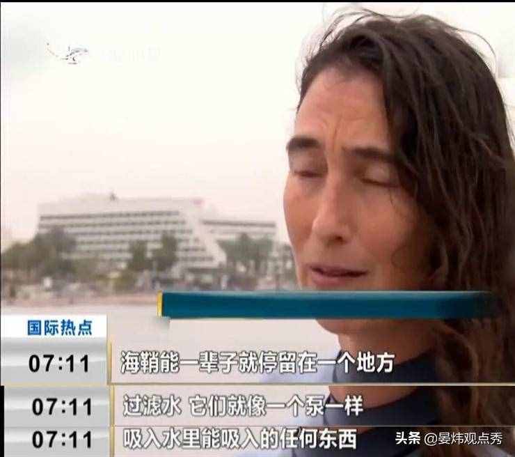 自己吃掉自己的腦子，海鞘是有多想不通