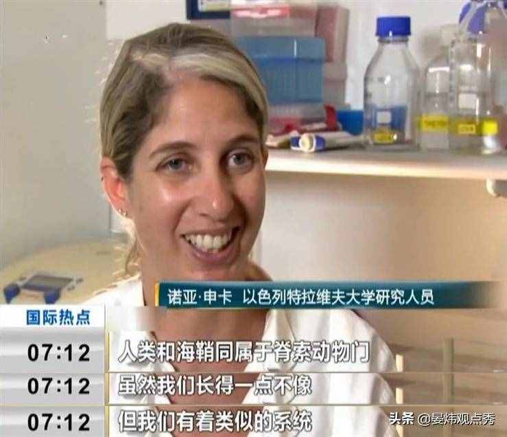 自己吃掉自己的腦子，海鞘是有多想不通