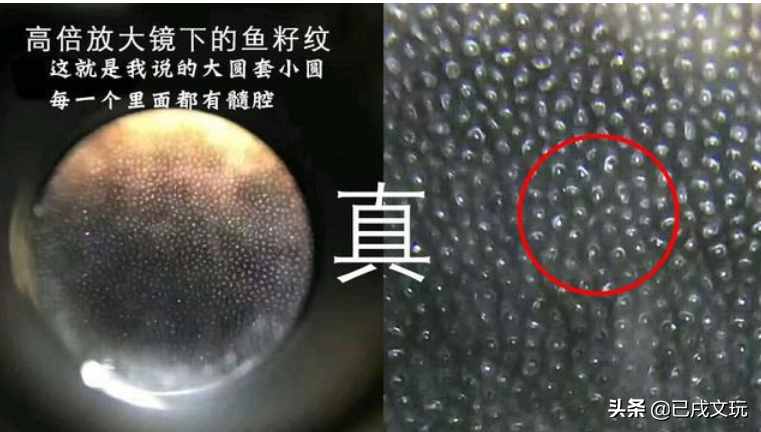 犀角如何辨別真假？
