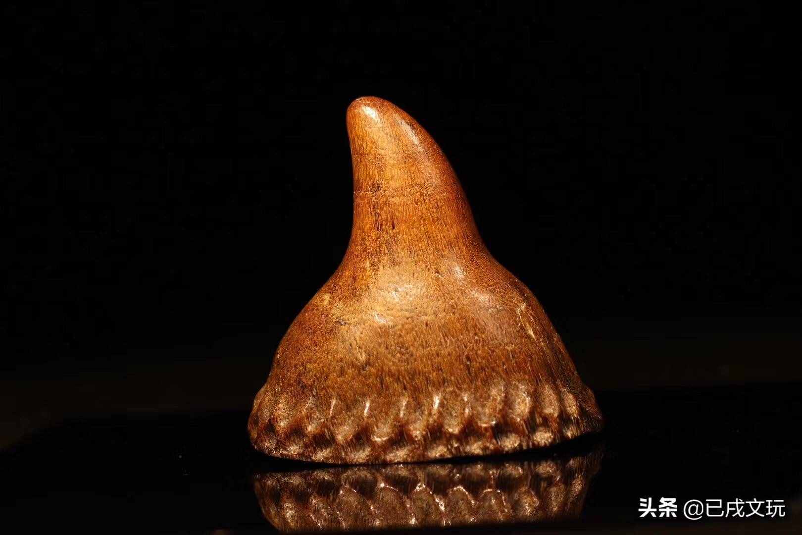 犀角如何辨別真假？