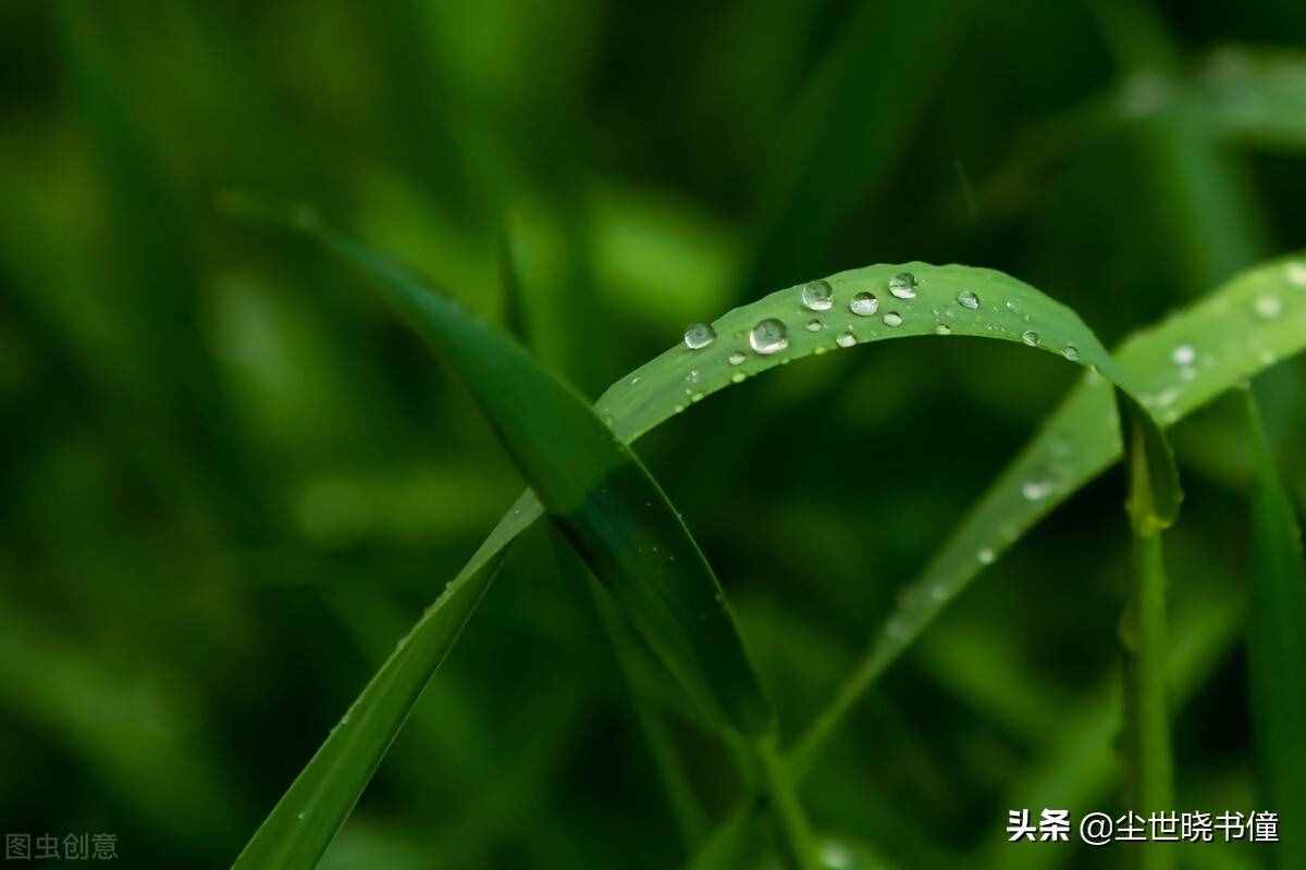 張繼的《楓橋夜泊》意境凄美，而另一首《閶門即事》，則句句傷感