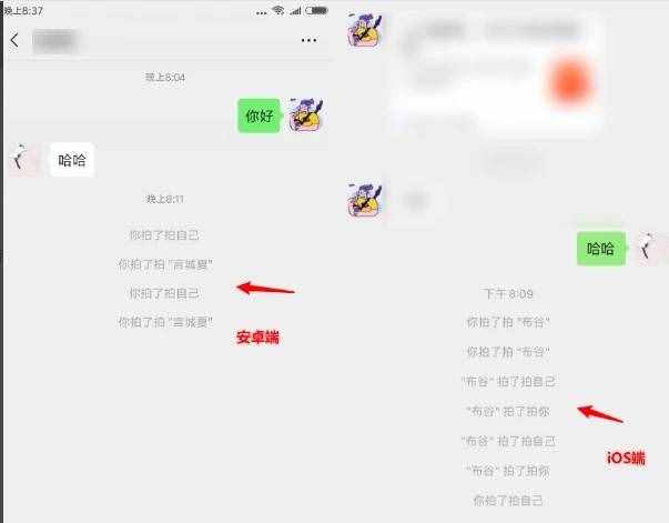 微信顯示拍了拍什么意思？微信拍一拍功能使用教程