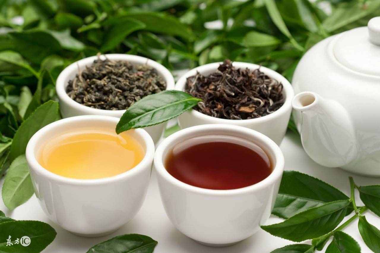 減肥減脂，喝烏龍茶真的有效嗎？