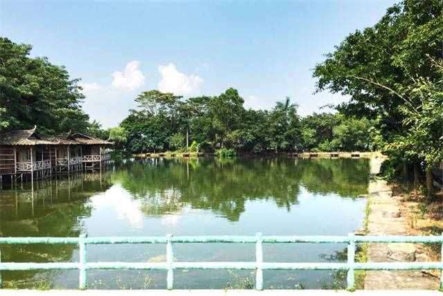 在惠州這家度假村，住在懸在湖邊的小木屋是什么樣的體驗