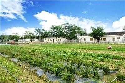在惠州這家度假村，住在懸在湖邊的小木屋是什么樣的體驗