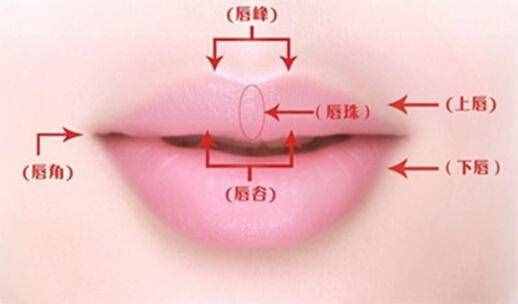 你想不想要一個(gè)嘟嘟唇-且看玻尿酸豐唇是怎么做的