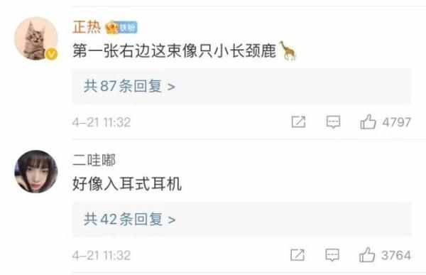 全球僅有一株！這些只生長在中國的珍稀植物，你知道哪些？