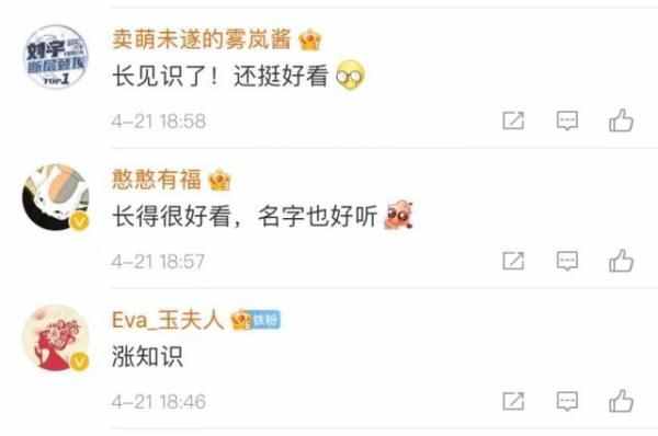全球僅有一株！這些只生長在中國的珍稀植物，你知道哪些？