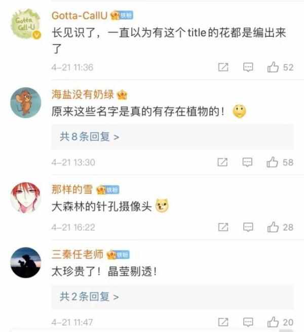 全球僅有一株！這些只生長在中國的珍稀植物，你知道哪些？