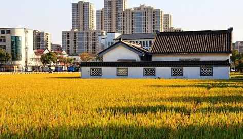 中國比較富有的幾個(gè)村子，基本位于江浙滬，華西村都排不上號(hào)