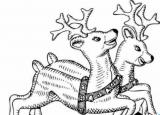今日更新任務(wù)欄顏色（計(jì)算機(jī)任務(wù)欄顏色）
