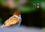今日更新什么是堿性水果（這6種堿性水果記得吃）