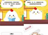 今日更新元次等術(shù)語是誰創(chuàng)造的（數(shù)學方程中的元次等術(shù)語是由誰創(chuàng)造的   ）