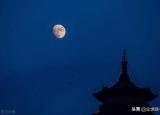 今日更新楓橋夜泊張繼（張繼的楓橋夜泊）