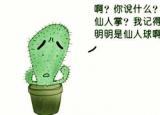 今日更新非主流可愛個(gè)性簽名（可愛的搞笑個(gè)性簽名大全）