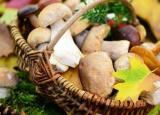 今日更新對(duì)眼睛有好處的食物（這七種食物對(duì)眼睛最好）